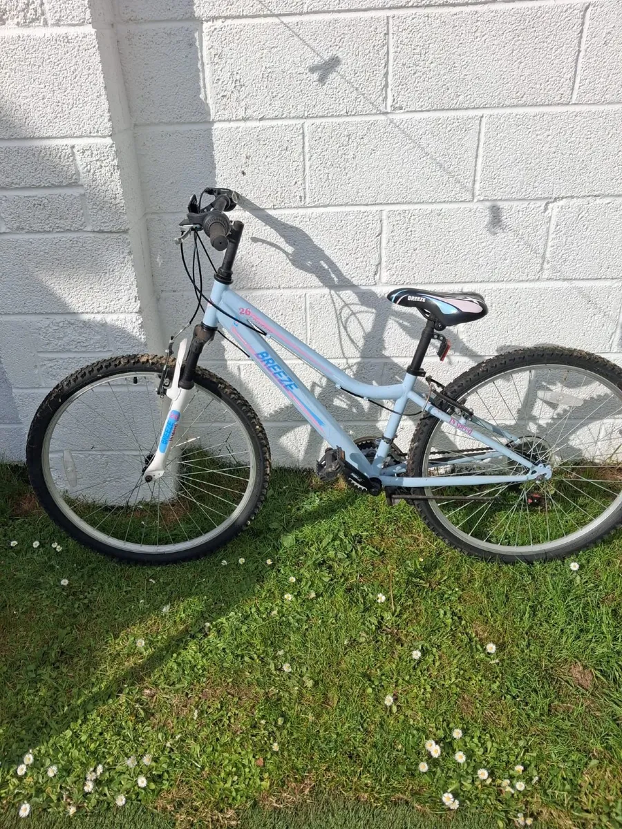 Bicycles - Image 3