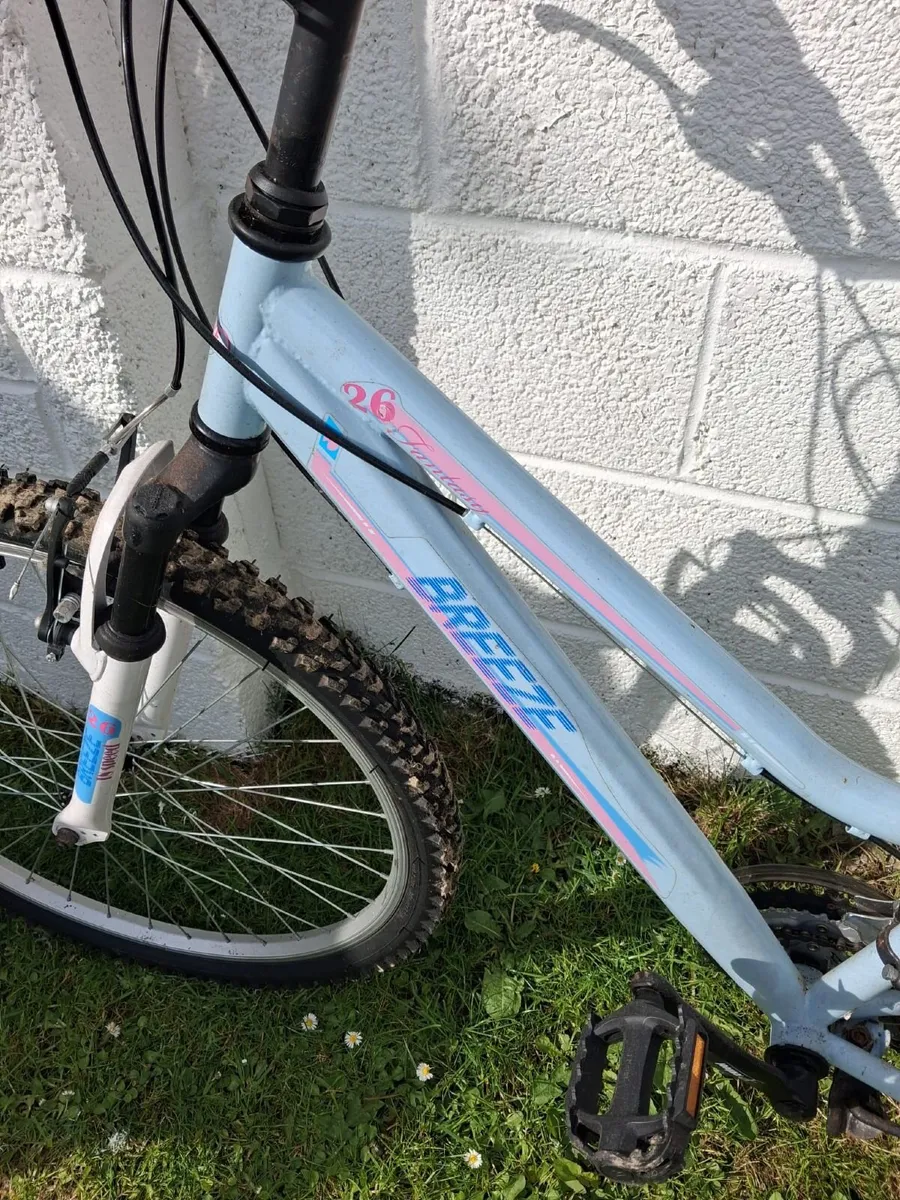 Bicycles - Image 1