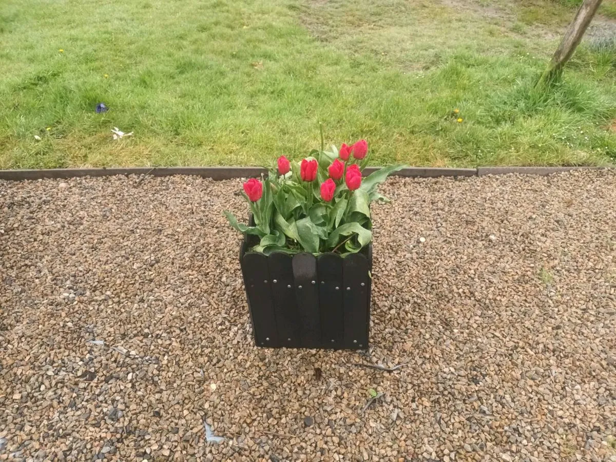 Garden planters - Image 3