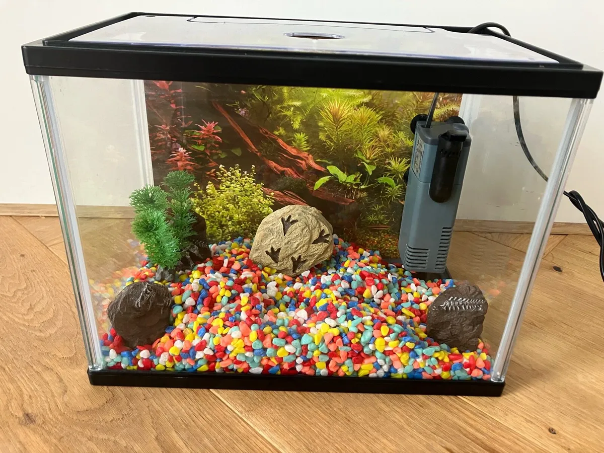 Aquarium fish tank - Image 4