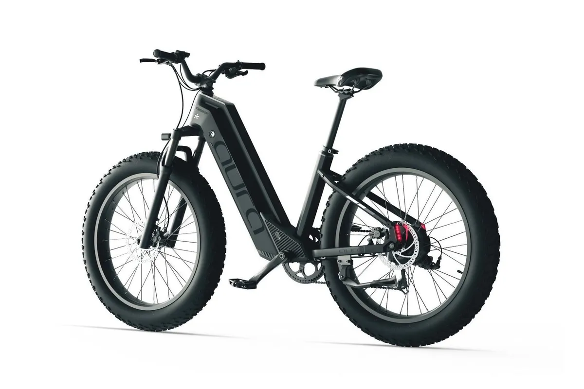 CYRUSHER AURA Step-Through Electric Bike 250W - Image 4