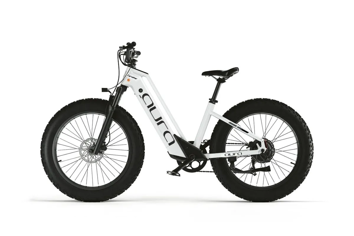 CYRUSHER AURA Step-Through Electric Bike 250W - Image 2