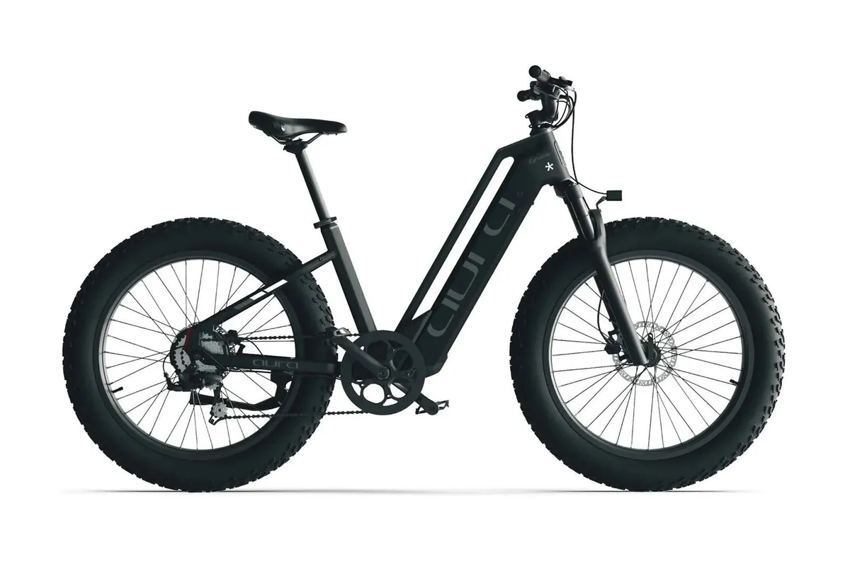 CYRUSHER AURA Step-Through Electric Bike 250W - Image 1