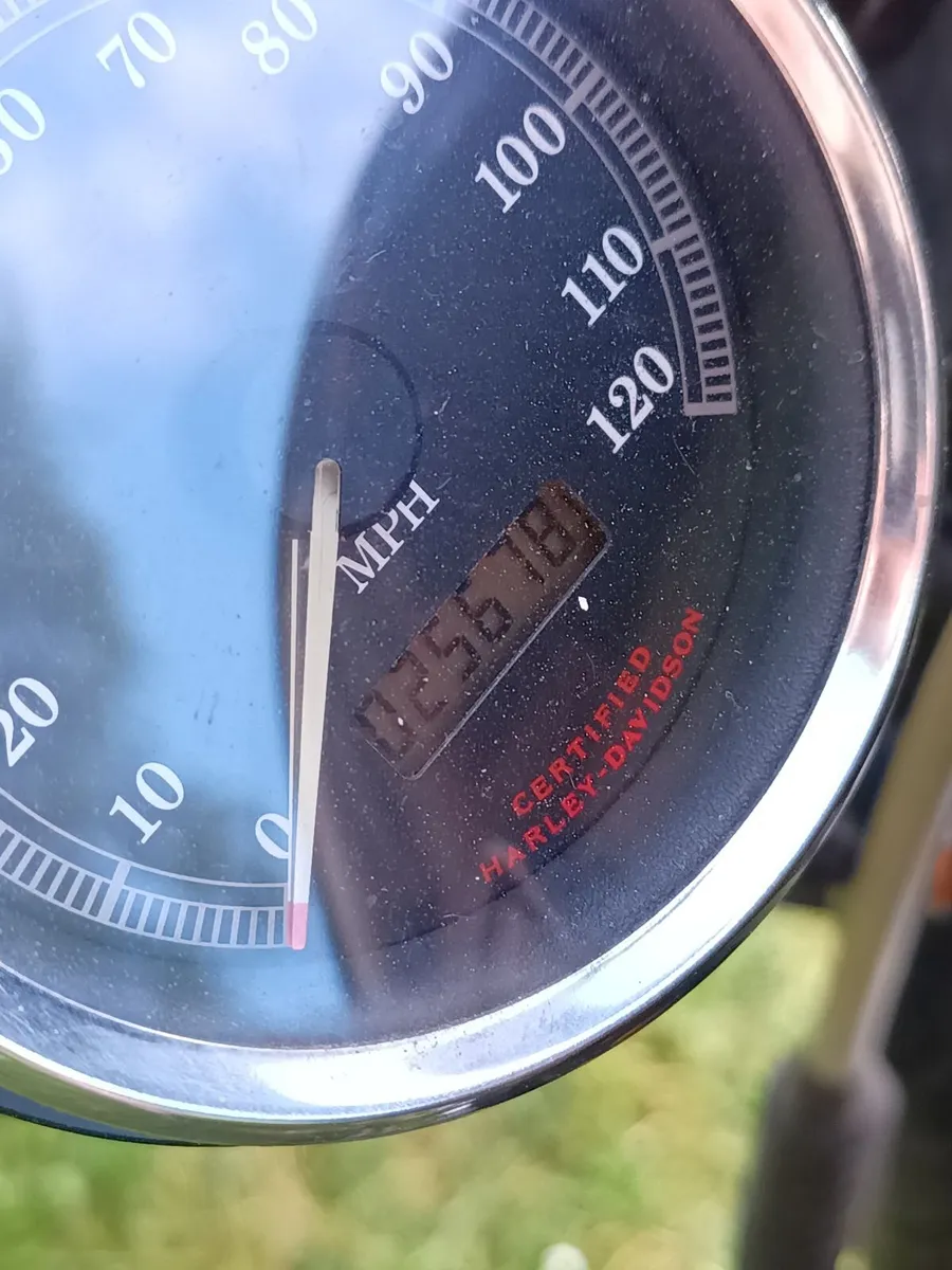 HARLEY DAVIDSON Other 2003 - Image 2