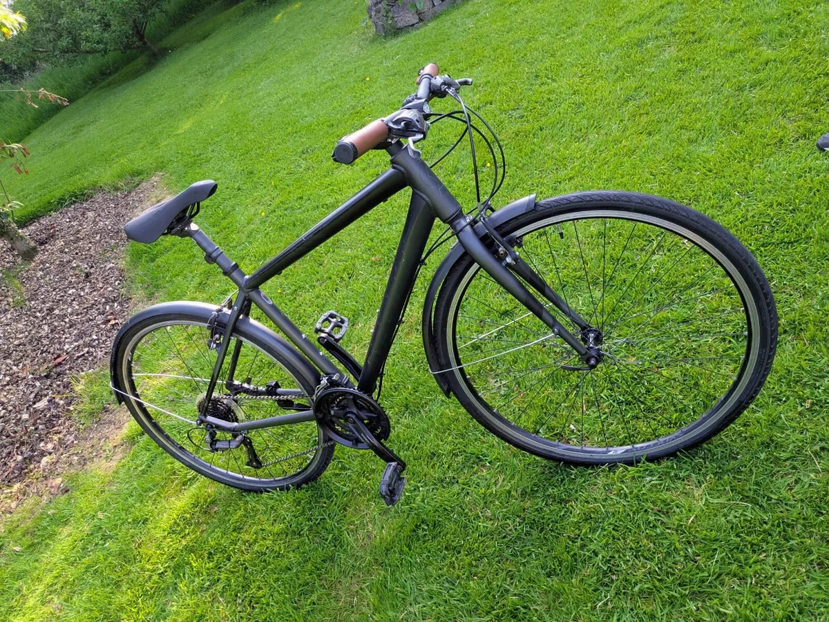 Scott Hybrid - Image 4