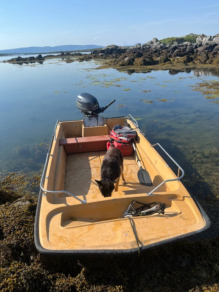 13ft dory - Image 4