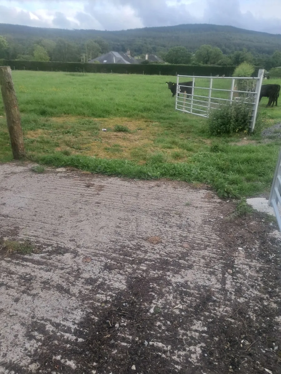 Relief milker available tipperary