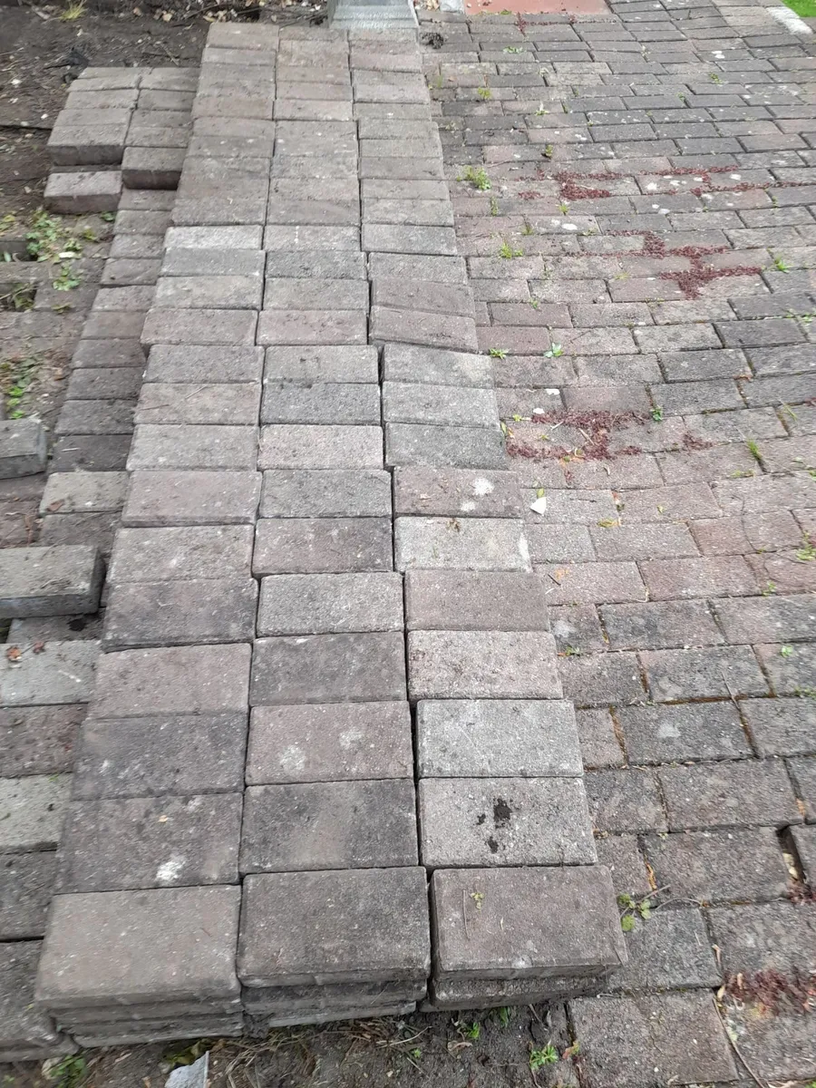Pink Cobble Bricks for Paving -  Only 1e Each - Image 2