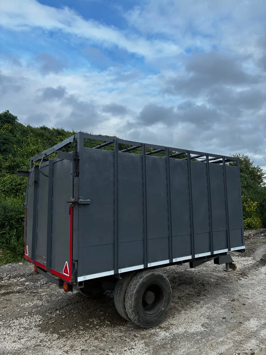13x7 cow box - Image 2