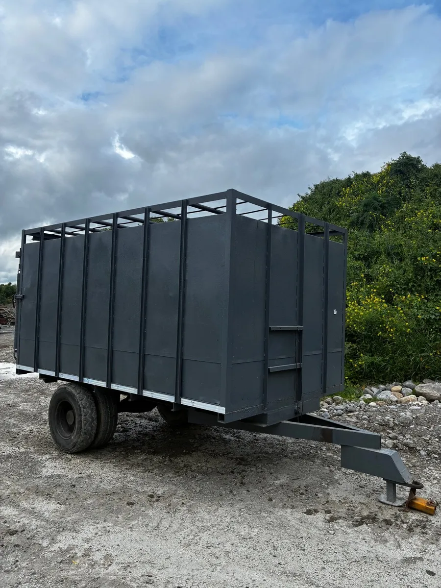 13x7 cow box - Image 1