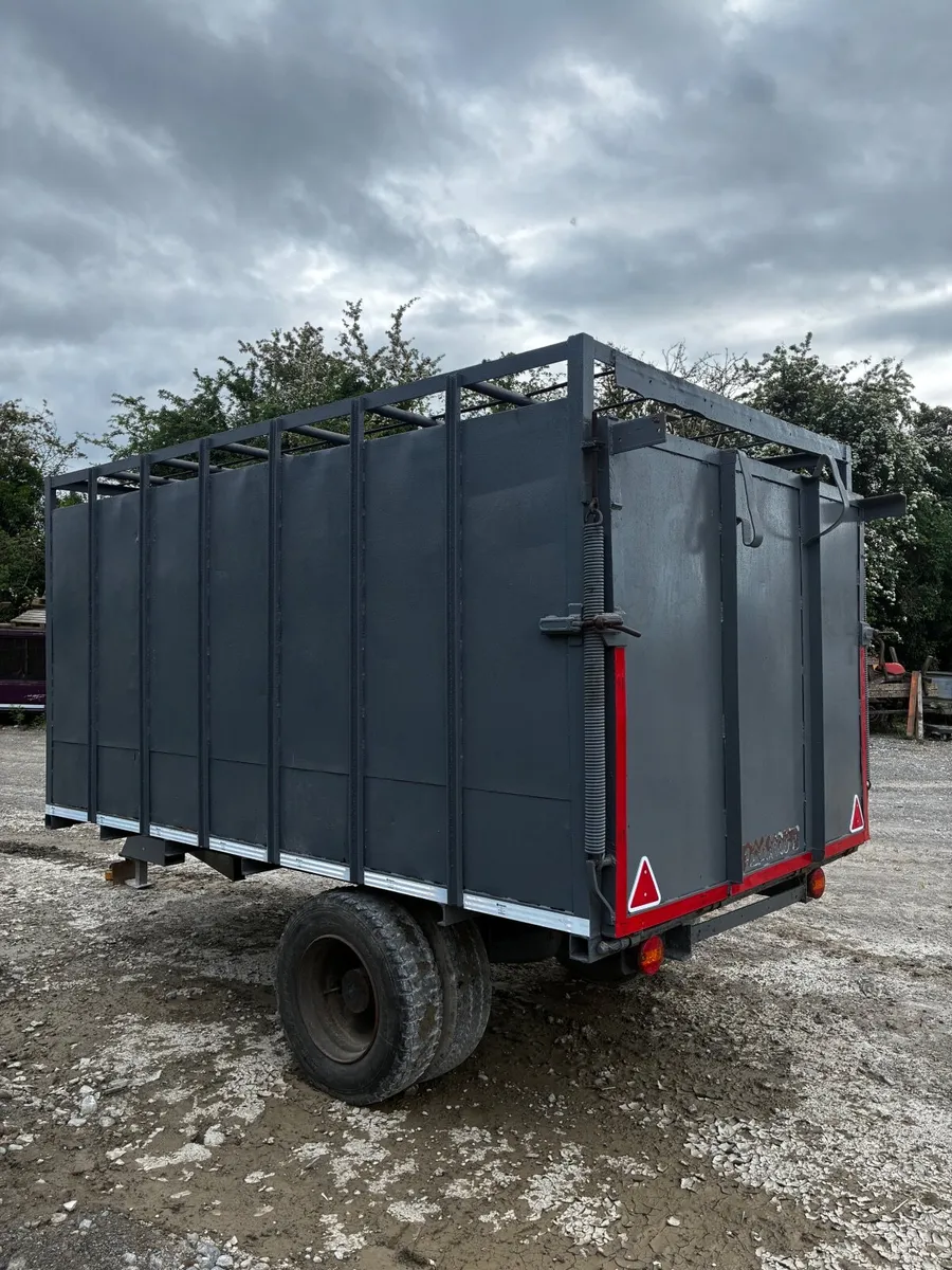 13x7 cow box - Image 3