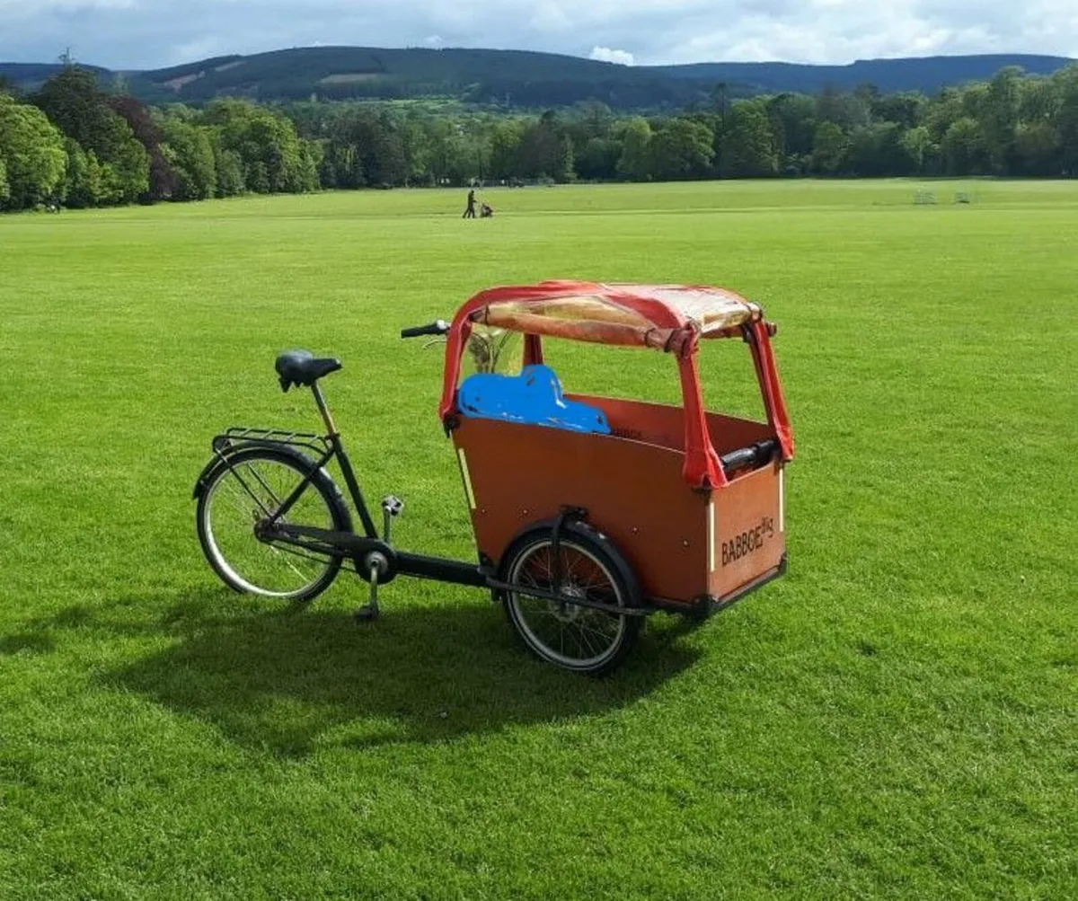 Babboe Big - Cargo Bike - Image 3