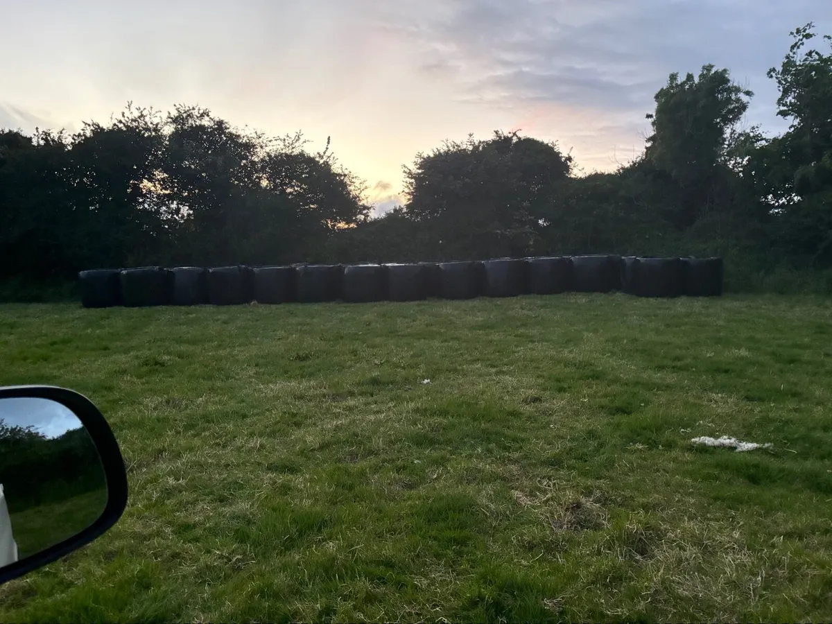 Silage - Image 2