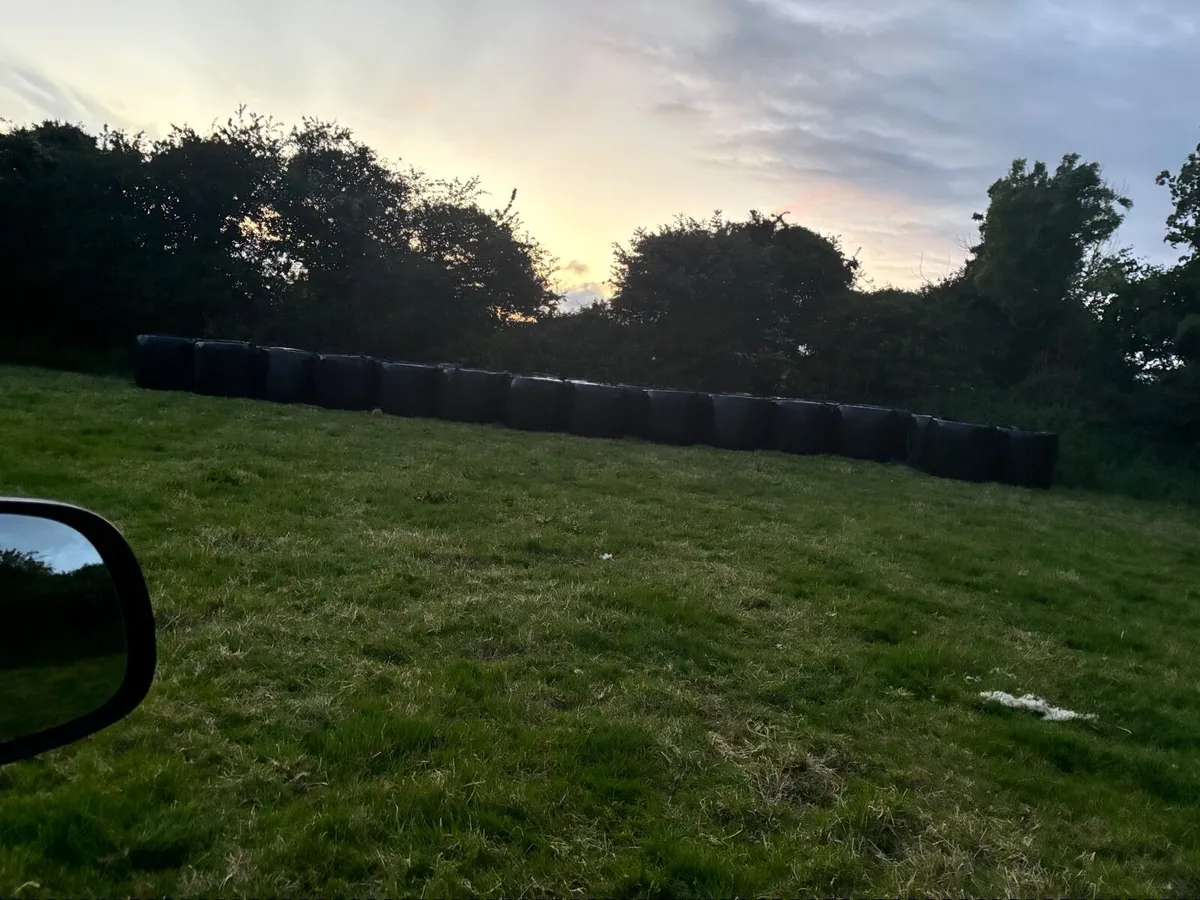 Silage - Image 1