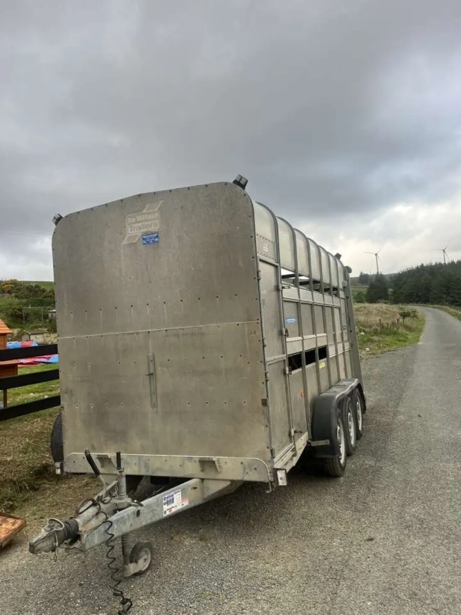 Ifor Williams trailer - Image 1