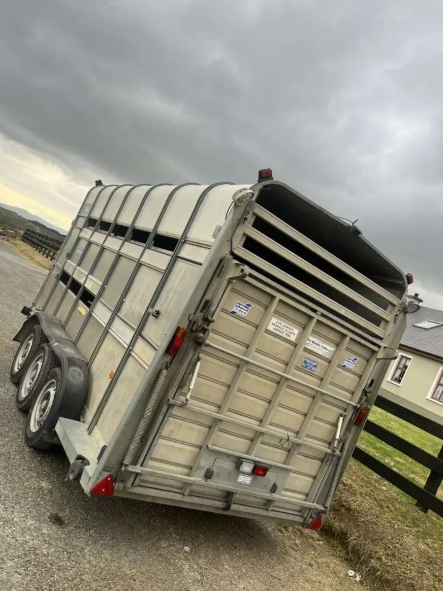 Ifor Williams trailer - Image 3