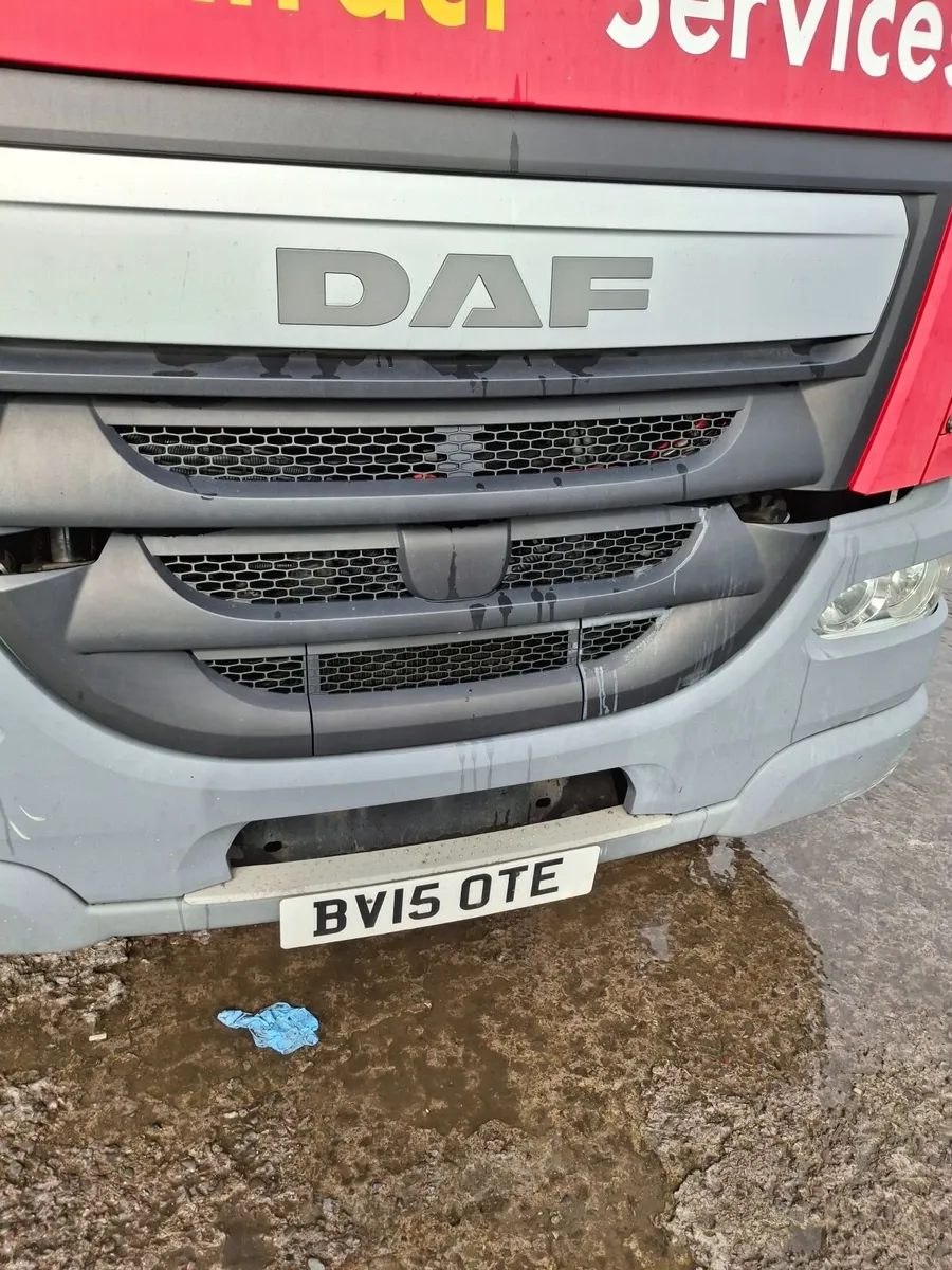 DAF 2015 - Image 3