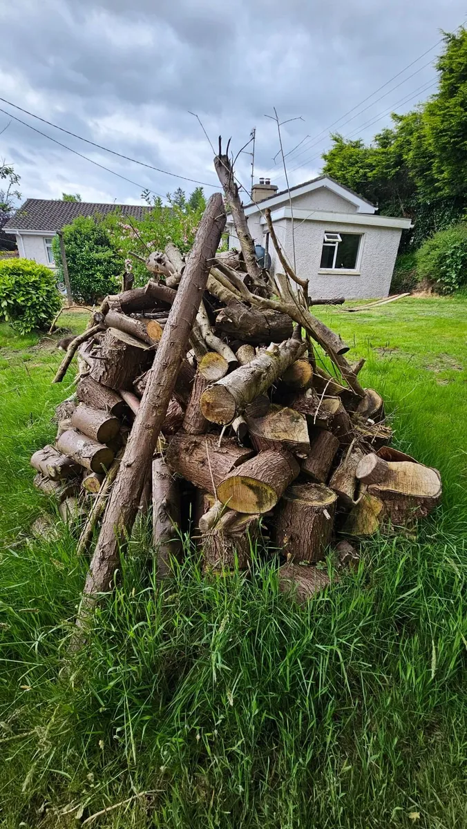 Fire wood - Image 1