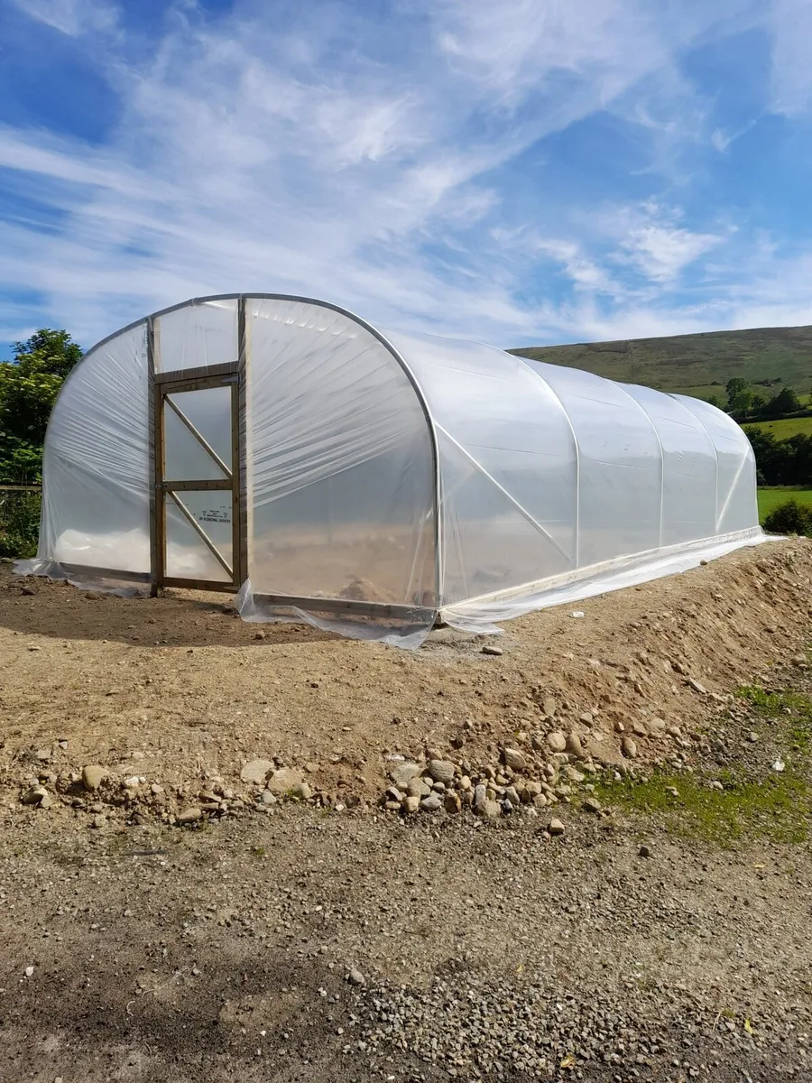 Agent for Polytunnels in Dublin/Cork/Galway - Image 2