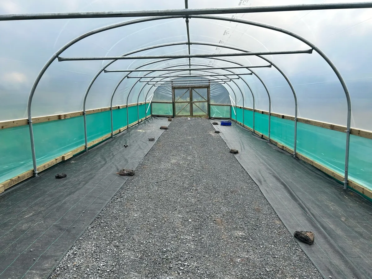 Agent for Polytunnels in Dublin/Cork/Galway - Image 3