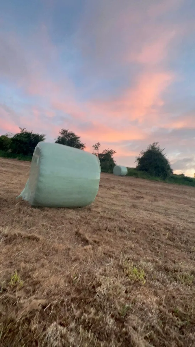 42 Organic haylage (not certified ) - Image 3
