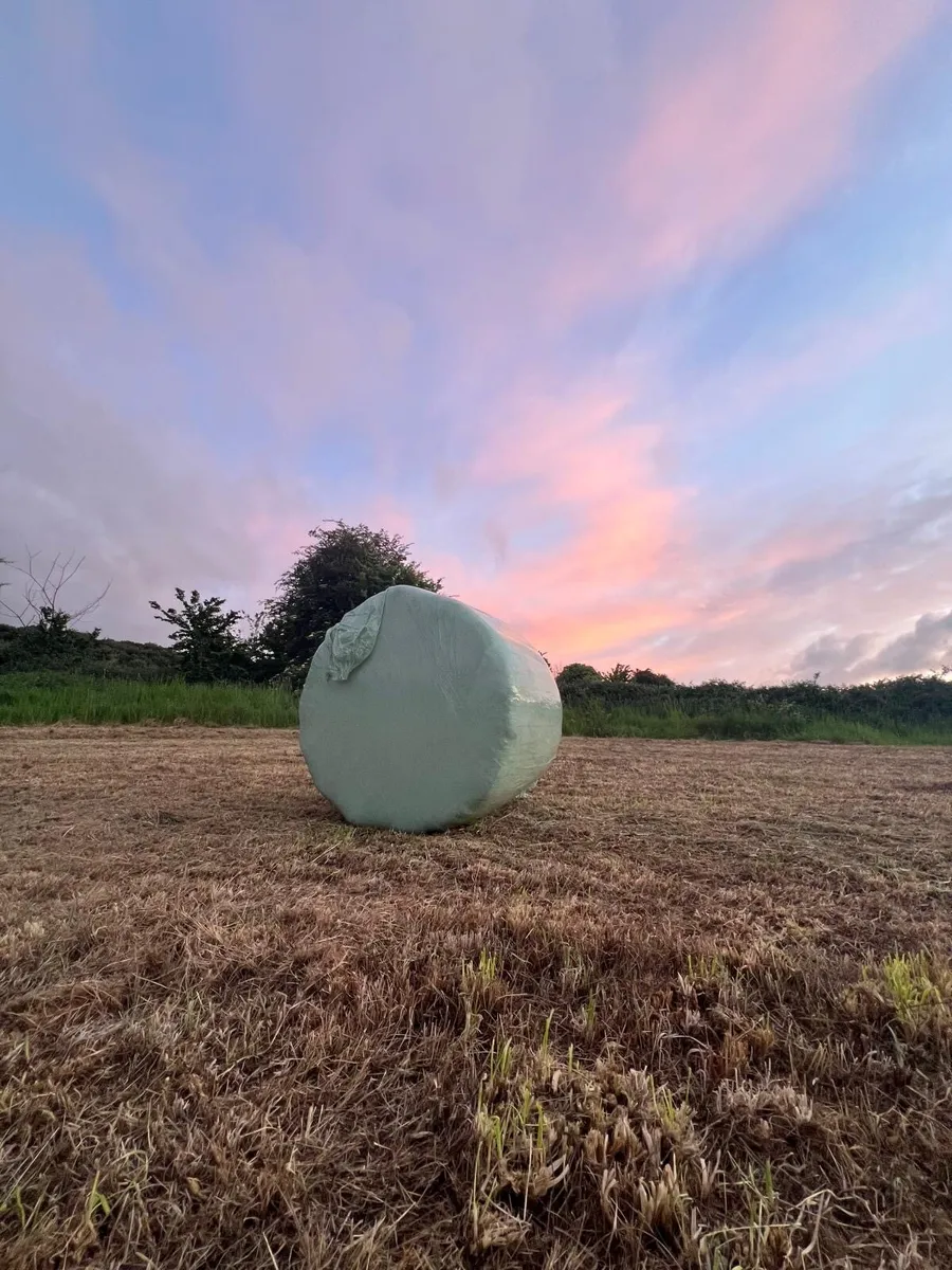 42 Organic haylage (not certified ) - Image 4