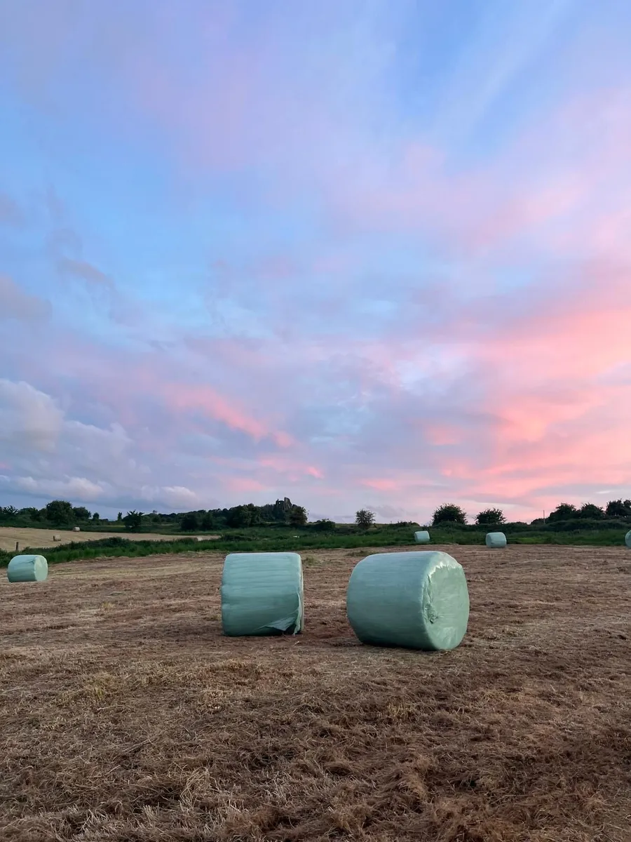 42 Organic haylage (not certified ) - Image 2