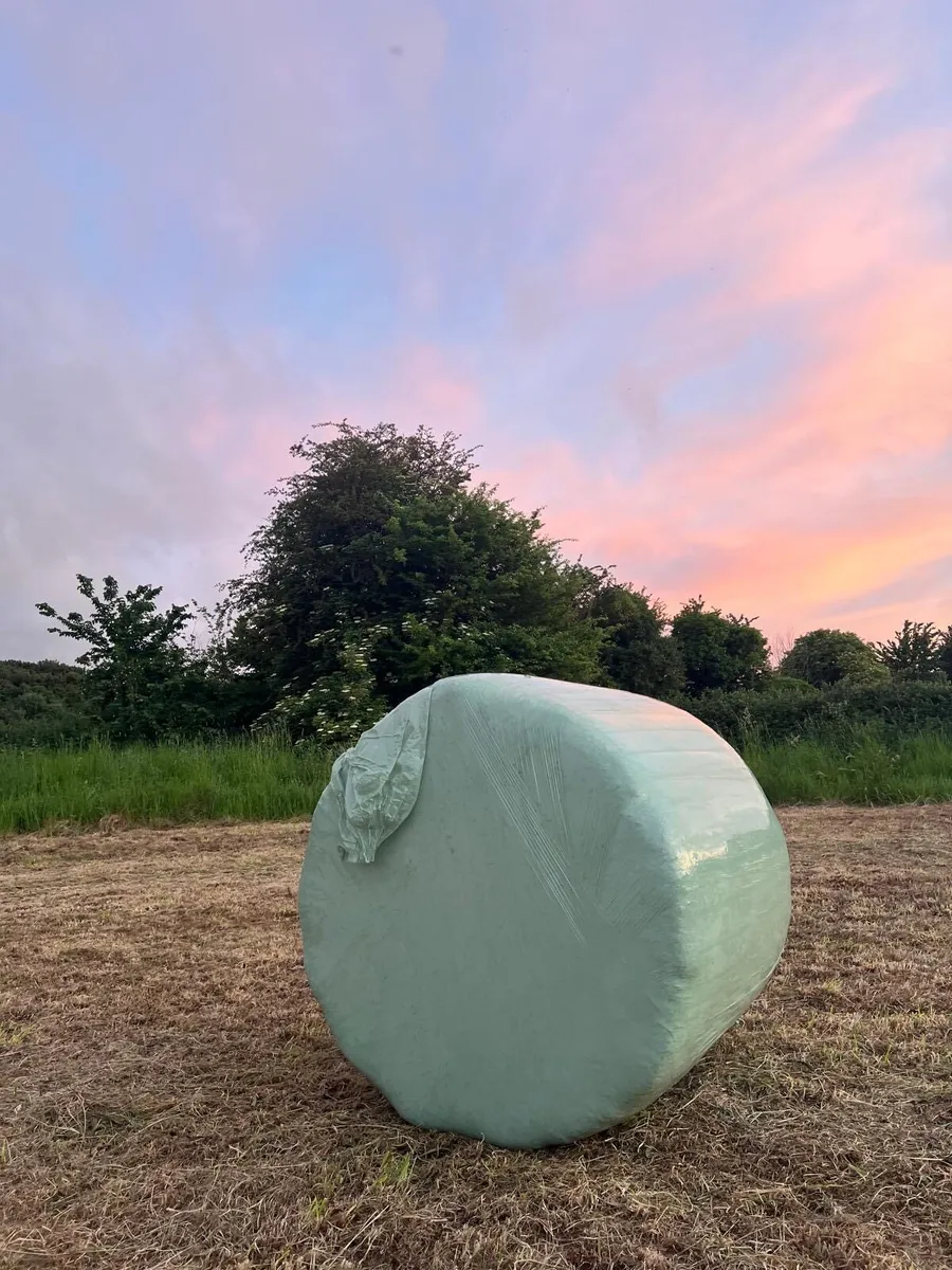 42 Organic haylage (not certified ) - Image 1