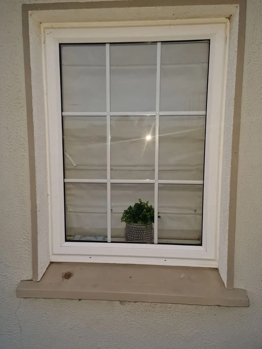 Windows back and front door - Image 1