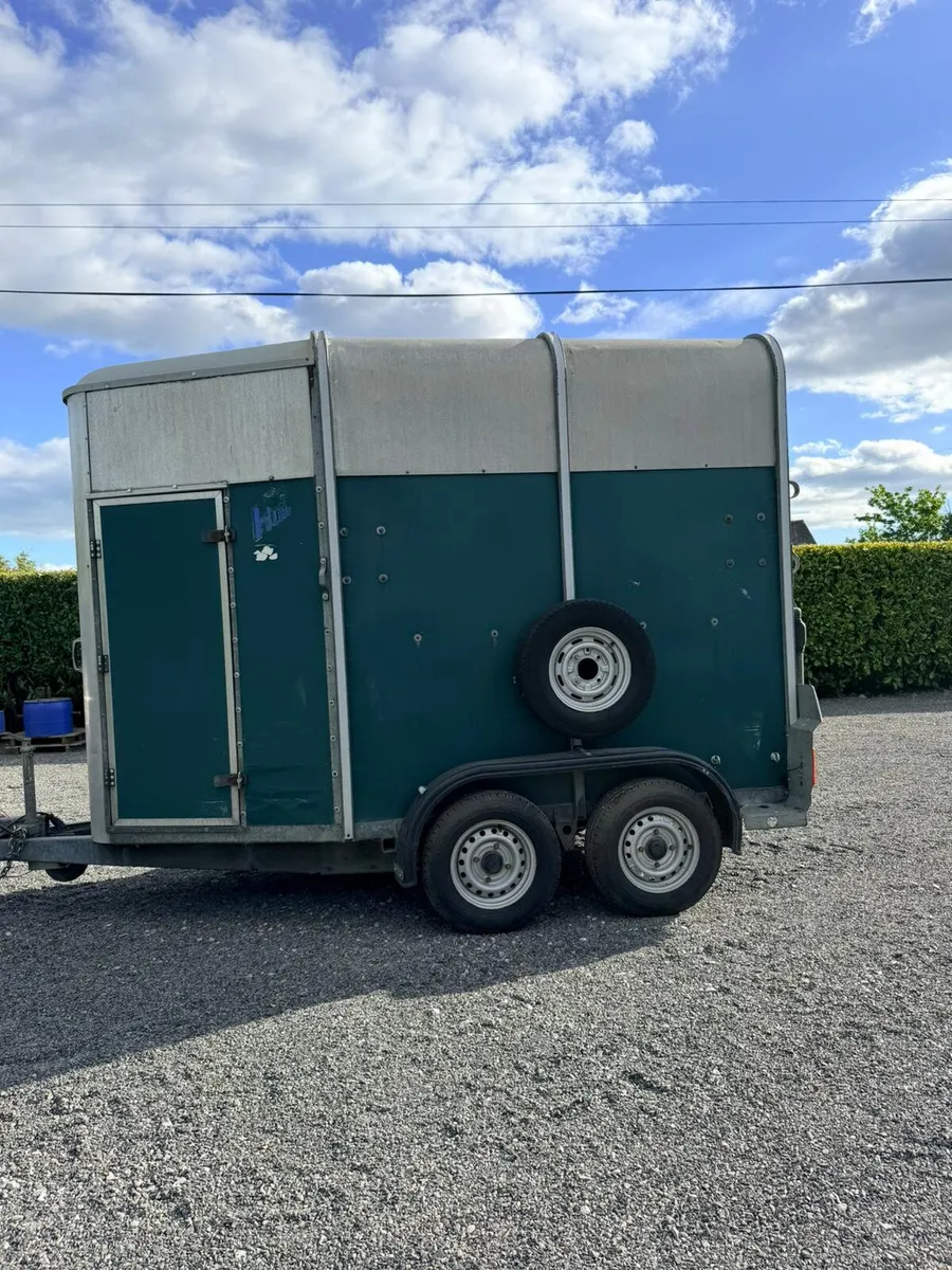 Ifor williams horsebox - Image 1
