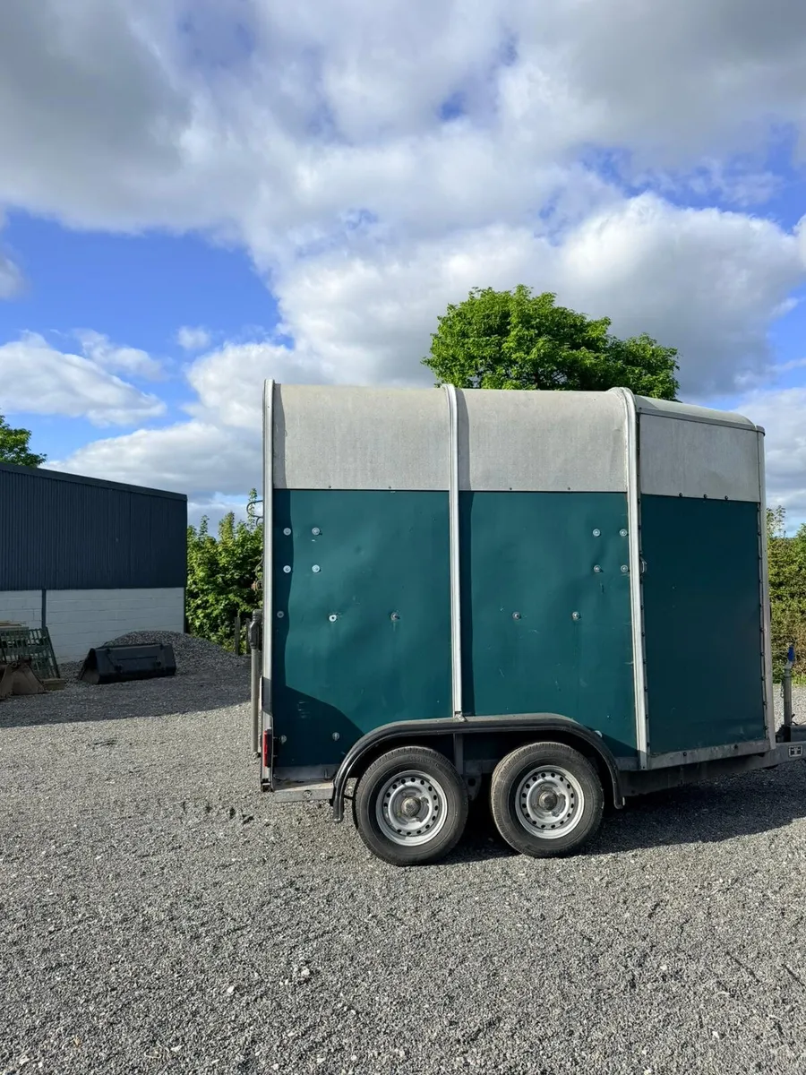 Ifor williams horsebox - Image 4
