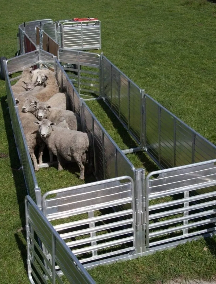 Portayards Ireland - Best of Breed! - Image 1