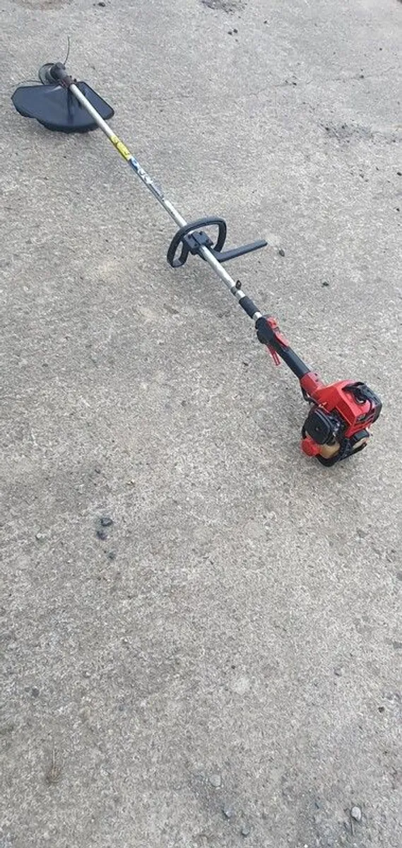 strimmer - Image 2