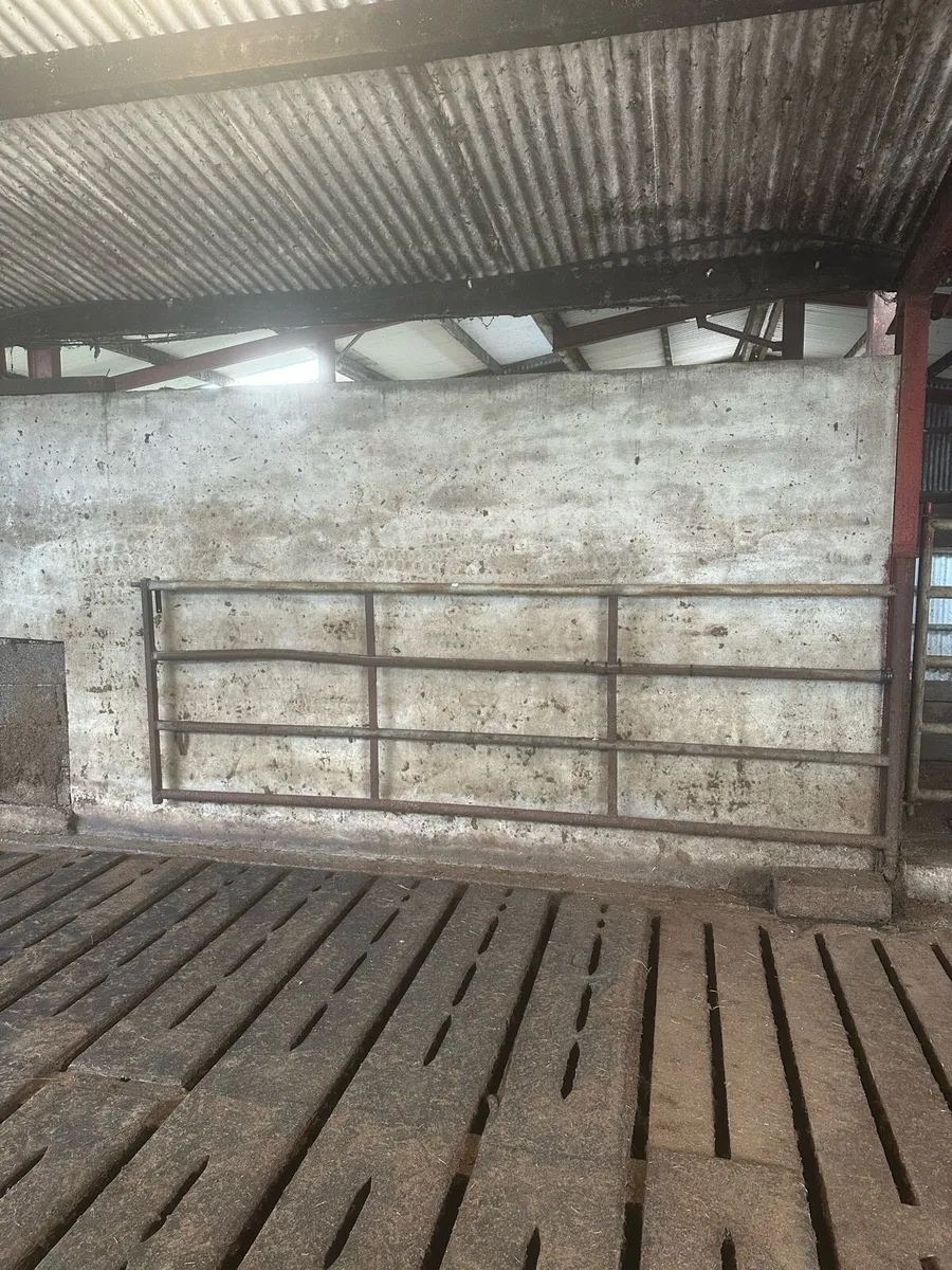 Feeding barriers - Image 2
