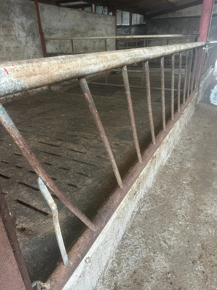 Feeding barriers - Image 4