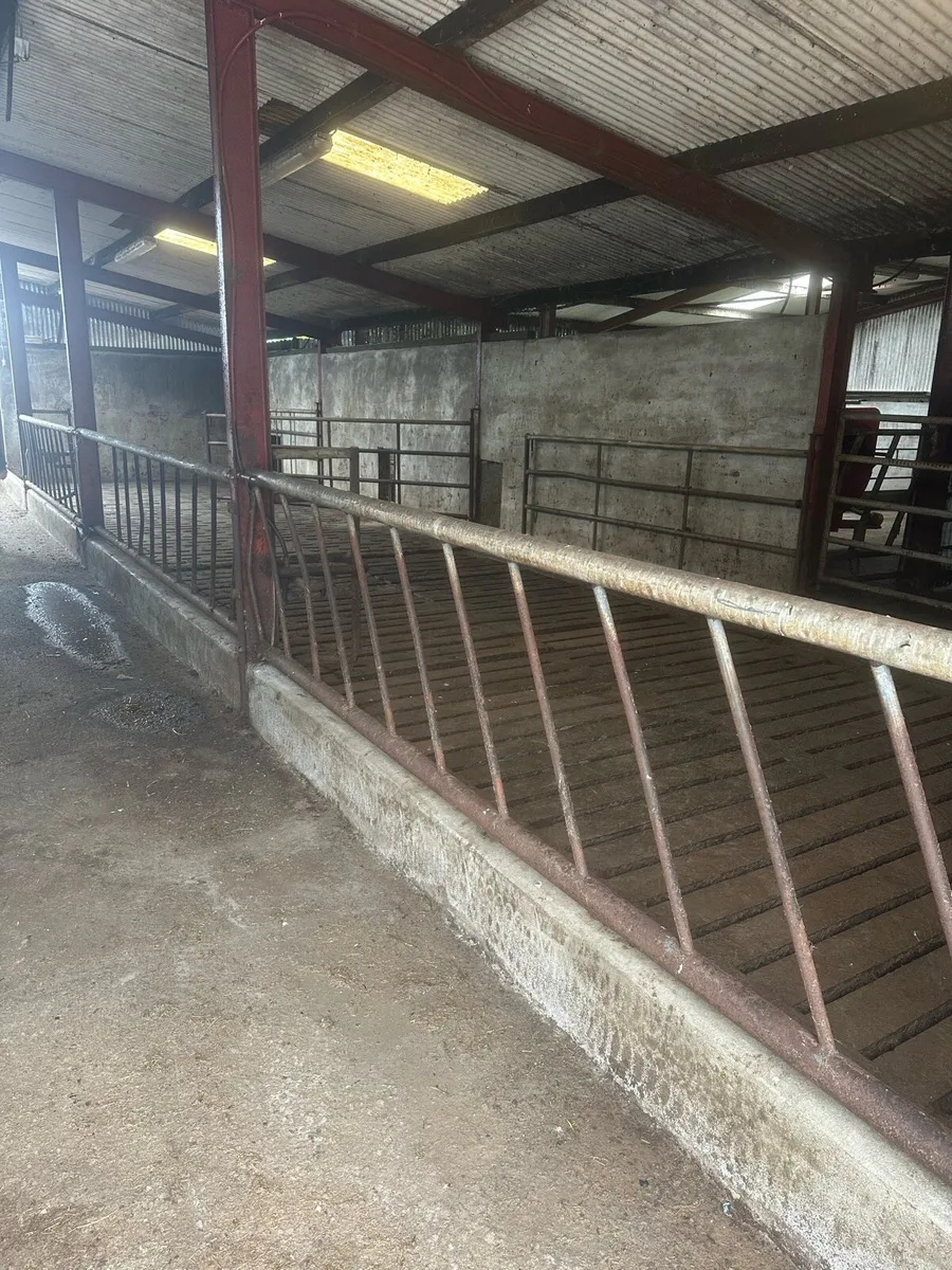 Feeding barriers - Image 1