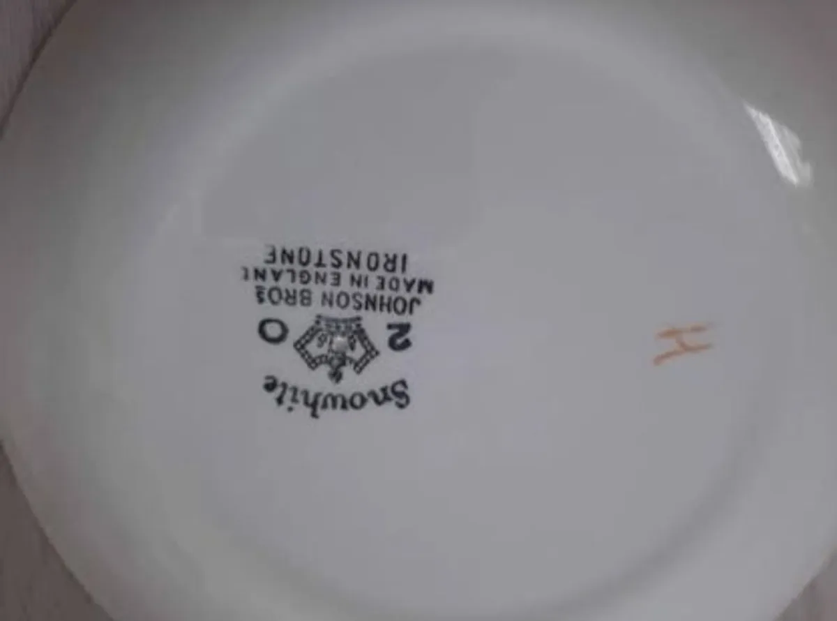 Vintage Johnson Brothers Semi porcelain Tableware Set - Image 2