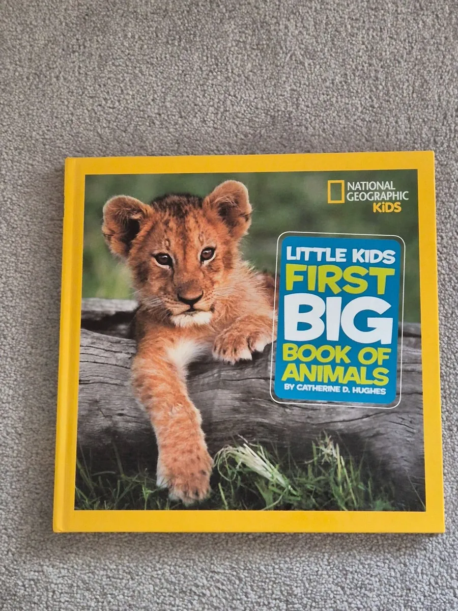4 in 1 - National Geographic Kids Education bundle - Image 4