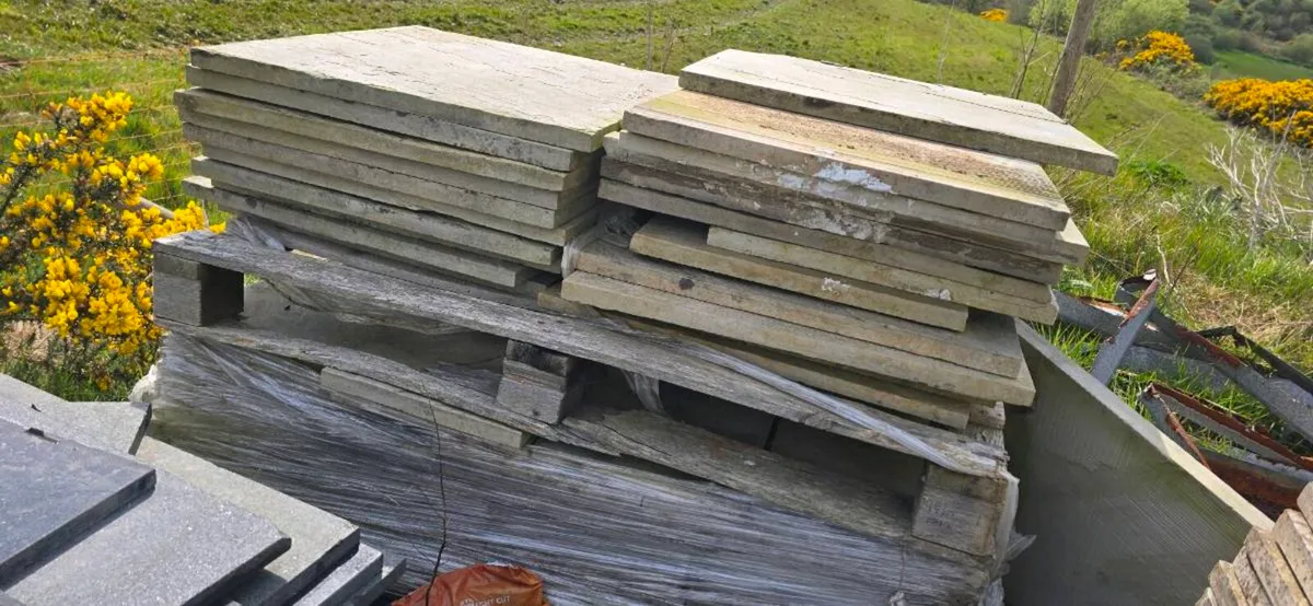 Paving slabs Indian sandstone - Image 2