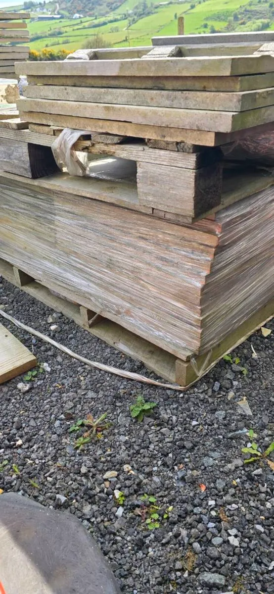 Paving slabs Indian sandstone - Image 4