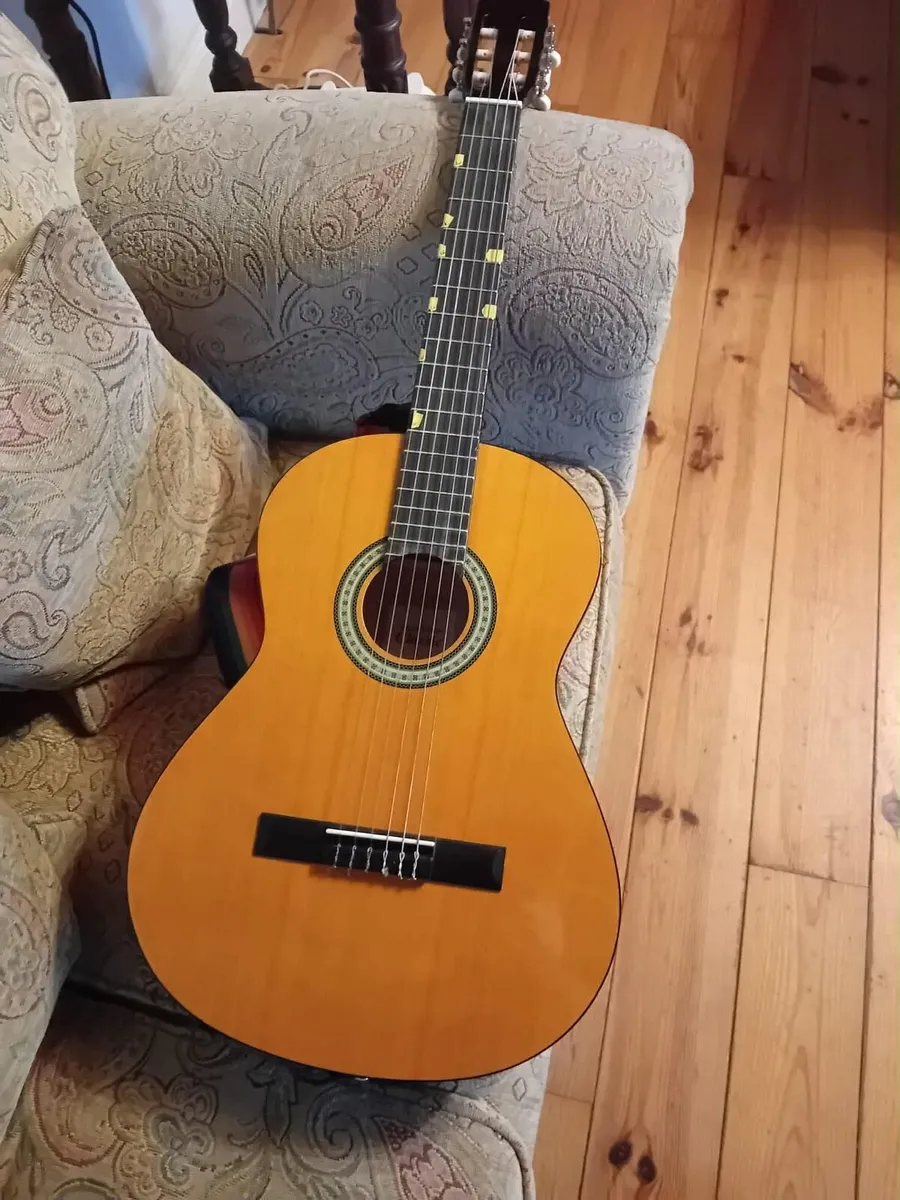 Left handed guitar