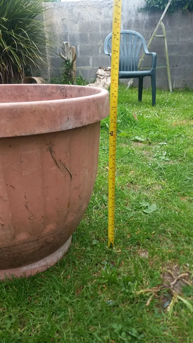 Large plant pot - Image 2