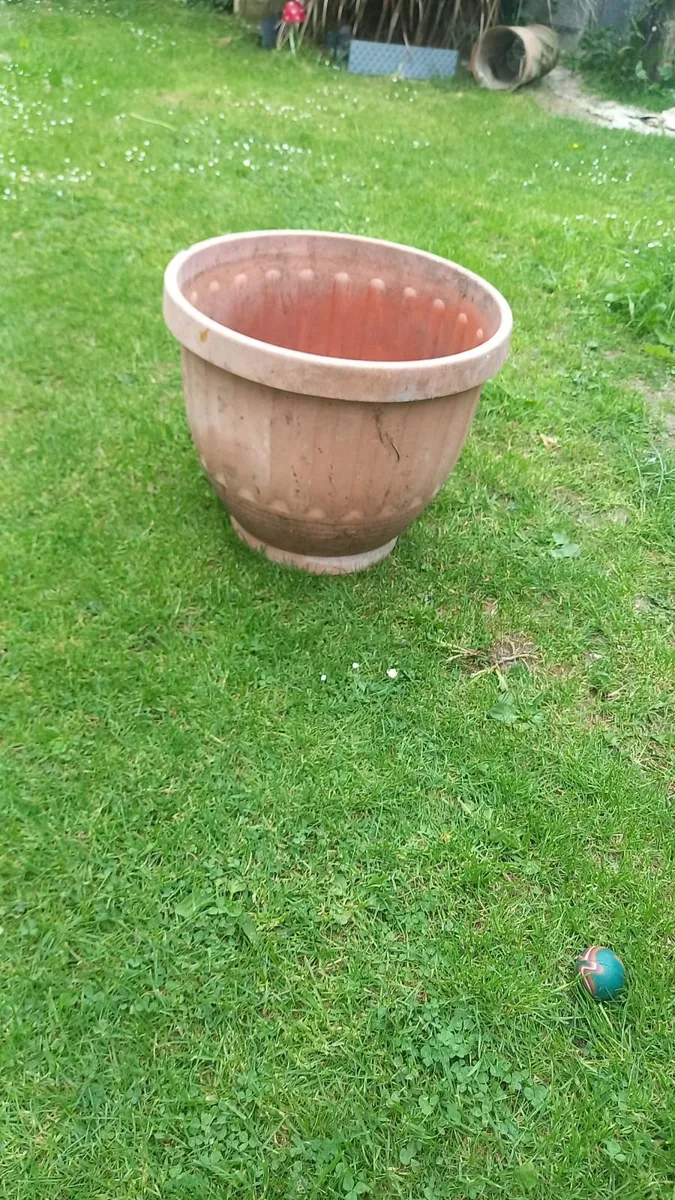 Large plant pot - Image 3