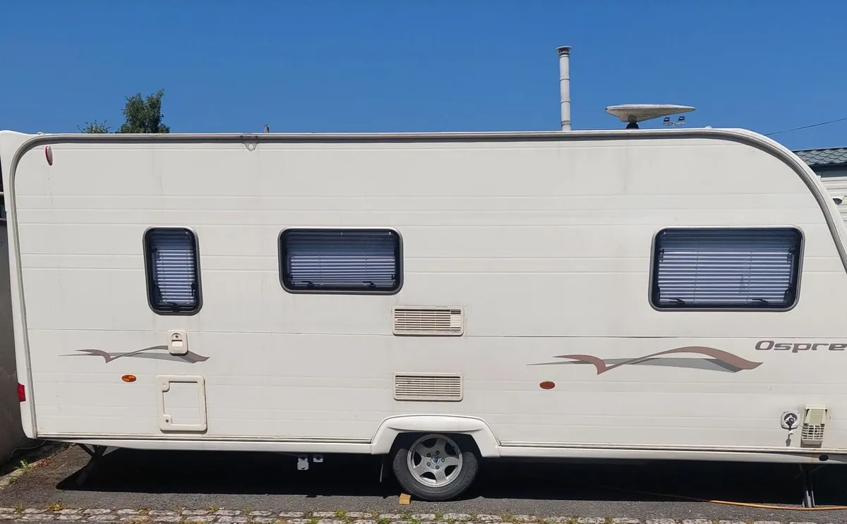 Avondale Osprey - Image 4