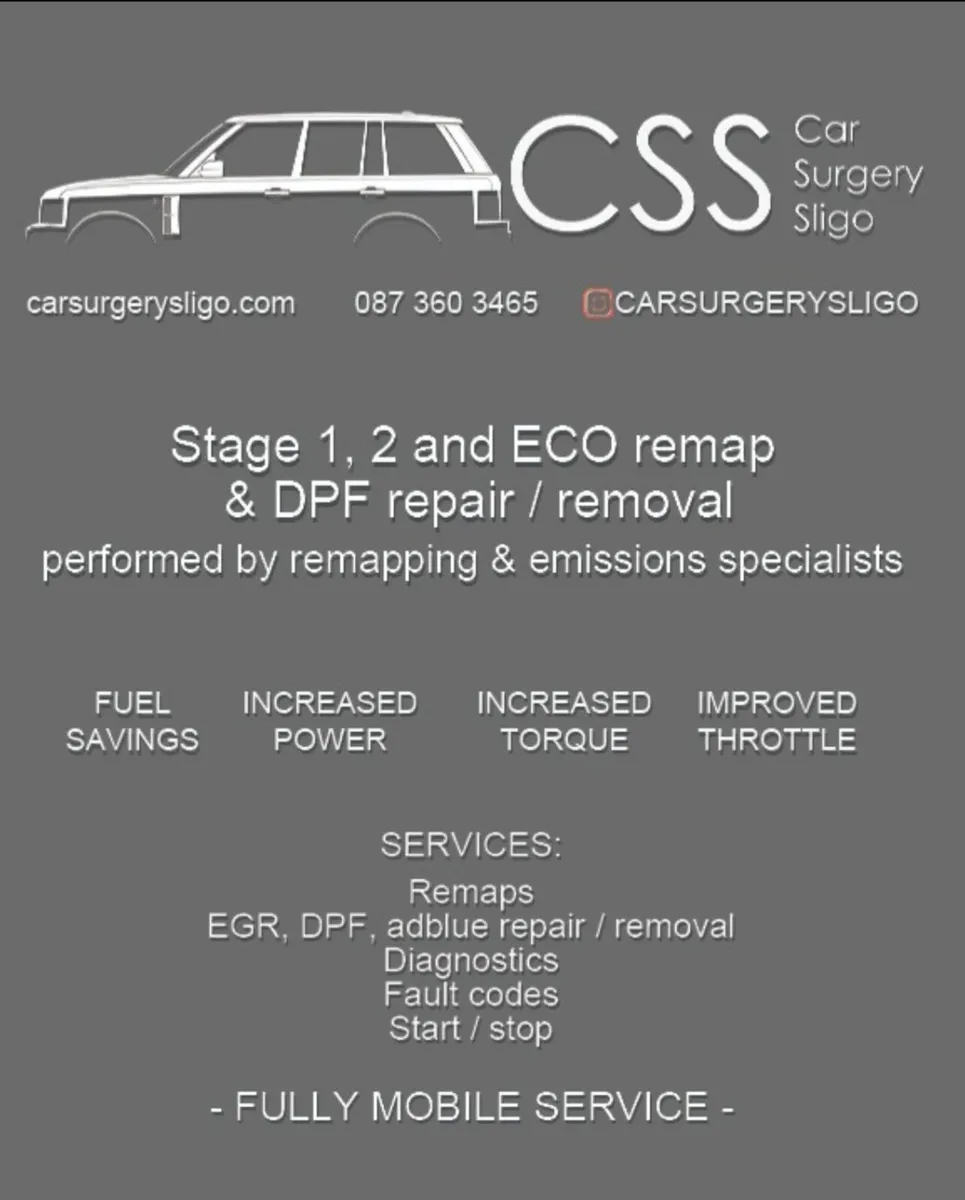 Emission repairs, ECU remapping and cloning - Image 1