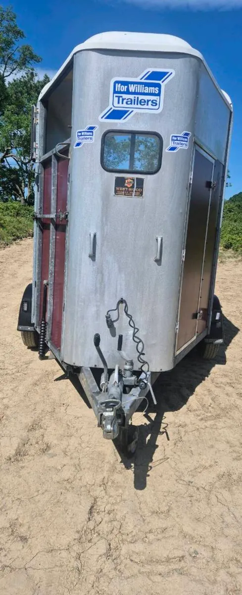 Ifor williams 505 Horsebox - Image 2