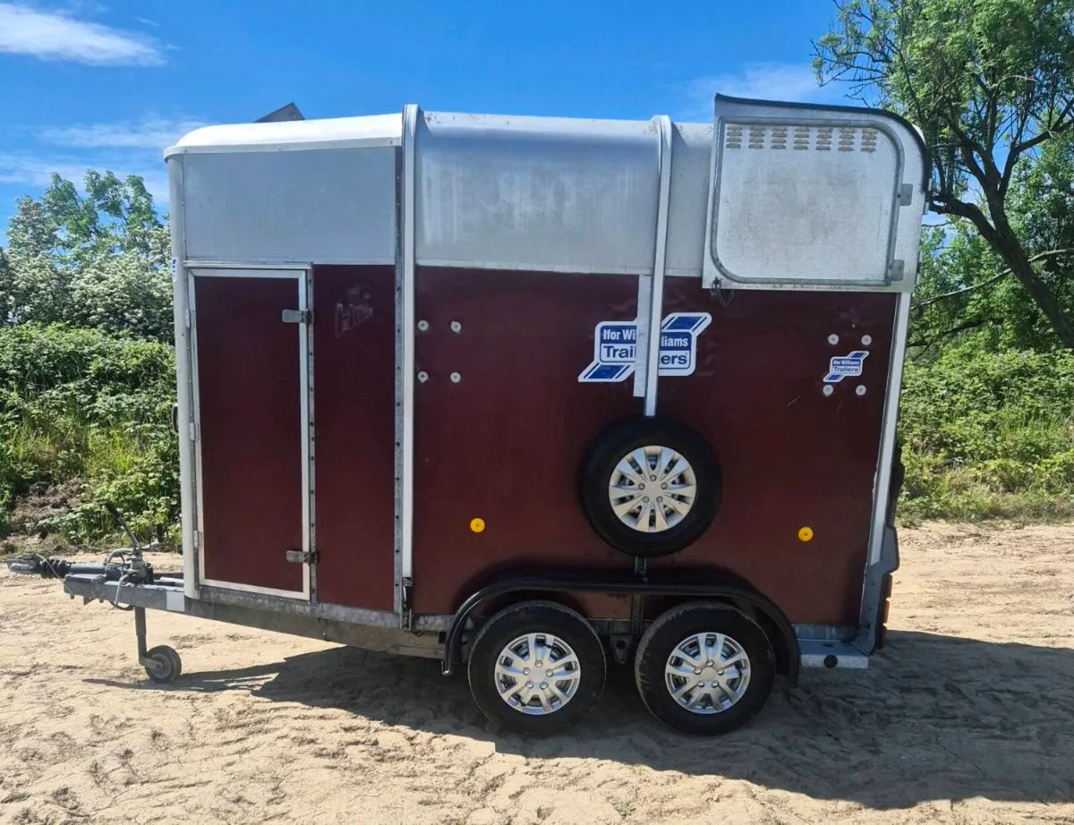 Ifor williams 505 Horsebox - Image 4