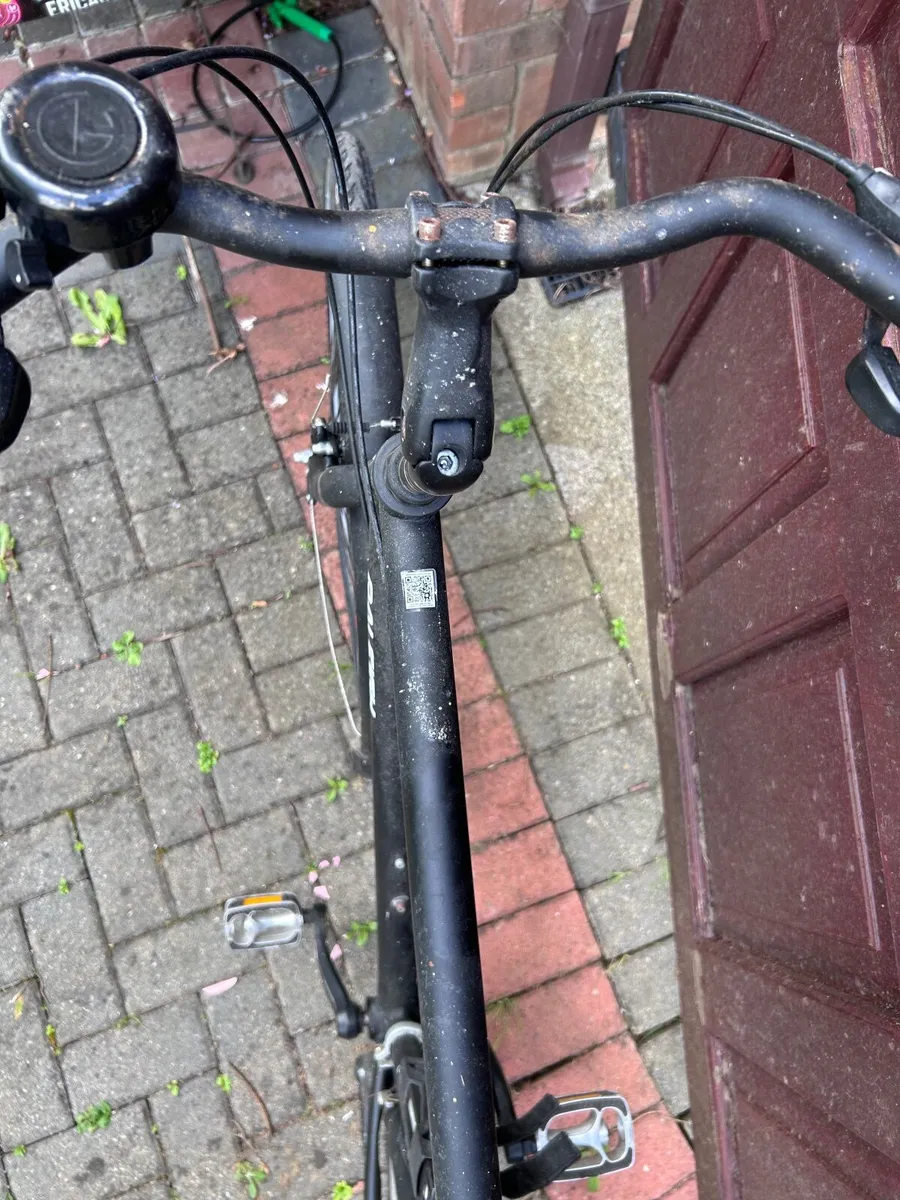 Raleigh Pioneer - Image 2