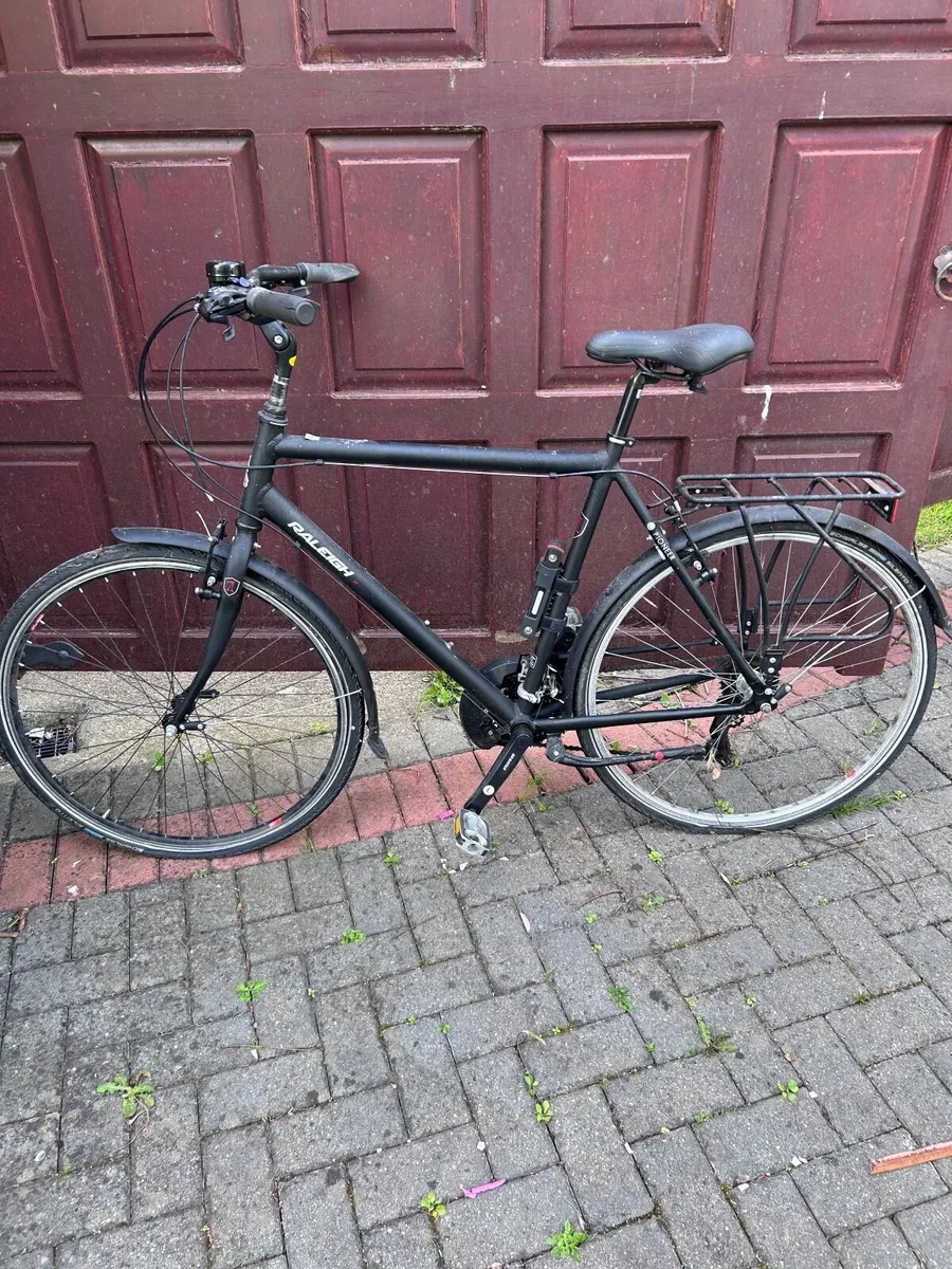 Raleigh Pioneer - Image 1