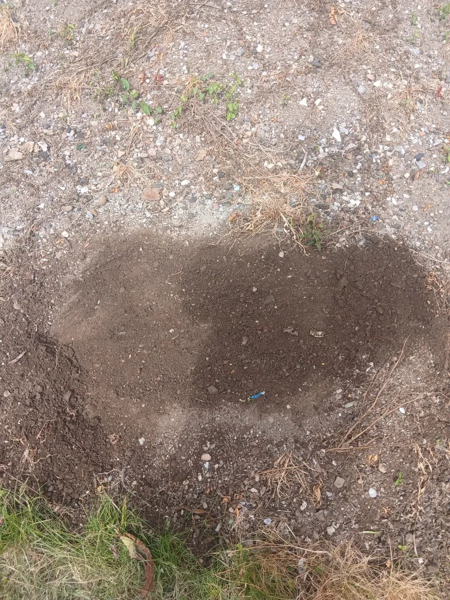 Topsoil - Image 2